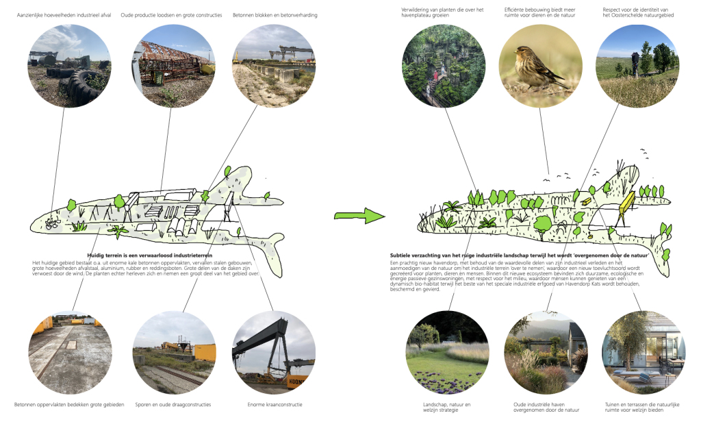 transformatie-kats-1024x619